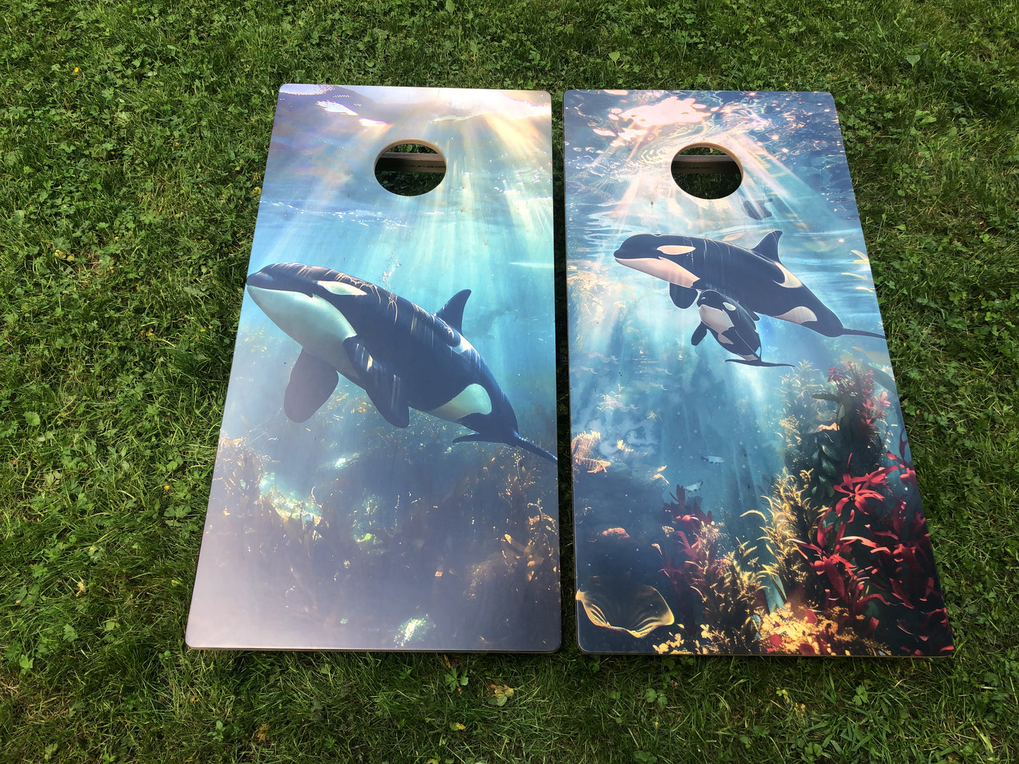Orca Whale Cornhole Board Set