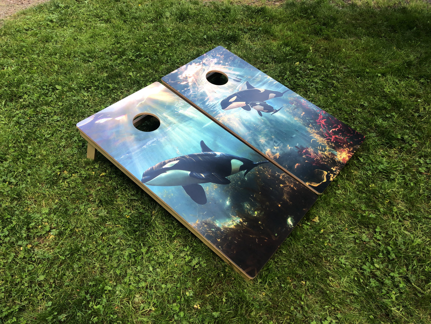 Orca Whale Cornhole Board Set